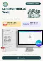 Vorschau - Arbeitsblätter - Lernkontrolle Wald Klasse 3/4 – 40 Punkte | Sachunterricht | PDF + Canva bearbeitbar - Deckblatt