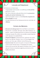 Vorschau - Stundenentwürfe - Tischlaterne Sankt Martin Kindergarten Grundschule Kunst - Seite 3