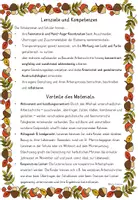 Vorschau - Stundenentwürfe - Laterne basteln Herbst Motive - St. Martin Kunst - Seite 3