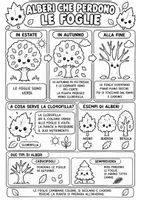 anteprima - Materiale interattivo - Alla scoperta delle foglie d'autunno - Pagina 1