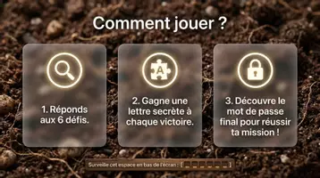 Aperçu - Jeux - Kit Sciences maternelle et cycle 2 : expériences faciles, cycle de vie de la citrouille et journal d'automne - Page 2