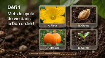 Aperçu - Jeux - Kit Sciences maternelle et cycle 2 : expériences faciles, cycle de vie de la citrouille et journal d'automne - Page 3