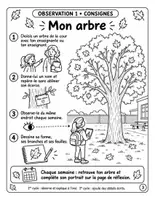 Aperçu - Expériences - Mon petit journal scientifique d'automne : 8 semaines d'observations, CP à CM1 (30 pages) - Page 2
