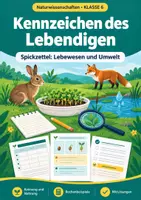 Vorschau - Arbeitsblätter - Kennzeichen, Naturwissenschaften Klasse 6 - Deckblatt