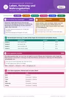 Vorschau - Arbeitsblätter - Kennzeichen, Naturwissenschaften Klasse 6 - Seite 1