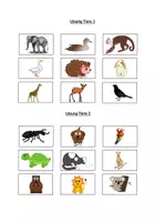 Vorschau - Arbeitsblätter - 2 Leseübungen/ Legespiele Klasse 1 Thema „Tiere“ (für Freiarbeit geeignet) - Seite 3