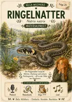 Vorschau - Arbeitsblätter - Ringelnatter - kostenloses Materialpaket für Sachunterricht & Naturbildung | Bella Wildherz - Deckblatt