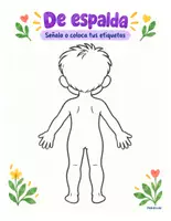Vista previa - Hojas de trabajo - Mi cuerpo me cuenta · Kit corporal · 5–8 años - página 3