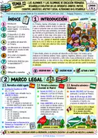 Vista previa - Para docentes: organización, planificación y formación - OPOSICIONES MAGISTERIO PT - RESUMEN TEMA 13 - página 1
