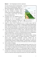 Vorschau - Klassenarbeiten - Ökologie-Klausur für die gymnasiale Oberstufe (editierbare Word-Datei) – inklusive Lerncheckliste - Seite 2