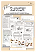 Vorschau - Arbeitsblätter - Die Achatschnecke als wirbelloses Tier | Klasse 5/6 | Modul 1 - Deckblatt