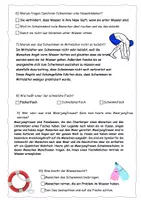 Vorschau - Arbeitsblätter - Quiz zur Schwimm-Reportage (mit Lösung) - Seite 3