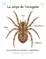 Aperçu - Expériences - Les araignées : mon carnet de découvertes scientifiques (couleur + noir et blanc) - Page 2