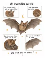 Aperçu - Feuilles d'exercices - Kit Halloween XXL : 6 ressources de français, de maths et de sciences (CP au CM2) - Page 2