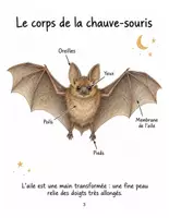 Aperçu - Feuilles d'exercices - Kit Halloween XXL : 6 ressources de français, de maths et de sciences (CP au CM2) - Page 3