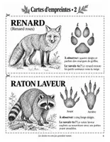 Aperçu - Expériences - Traces d'animaux : étude de la nature en hiver, du CP au CM1 (20 pages) - Page 3