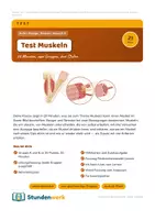 Vorschau - Stundenentwürfe - Muskeln Reihe Klasse 5 6 Sparpaket - Seite 1