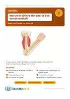 Vorschau - Stundenentwürfe - Muskeln Gegenspieler Klasse 5 6 (Std 4) - Deckblatt
