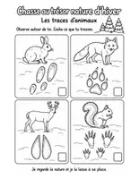 Aperçu - Feuilles d'exercices - Chasse au trésor nature : hiver et printemps, 22 fiches illustrées à cocher (maternelle au CE1) - Page 2