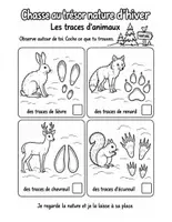 Aperçu - Feuilles d'exercices - Chasse au trésor nature : hiver et printemps, 22 fiches illustrées à cocher (maternelle au CE1) - Page 3