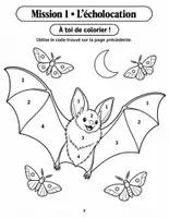 Aperçu - Feuilles d'exercices - Les animaux et leurs superpouvoirs : adaptations des animaux en coloriage codé (CM2, avec corrigés) - Page 3