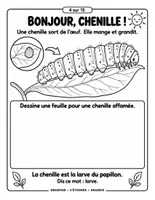 Aperçu - Feuilles d'exercices - Le cycle de vie du papillon : cahier de découvertes (15 pages, maternelle au CE1) - Page 3