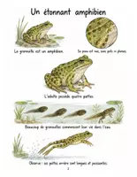 Aperçu - Matériel pour travaux manuels / dessin - Les grenouilles : carnet de découvertes illustré, expériences et bricolages (couleur et N&B) - Page 1