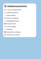Vorschau - Stundenentwürfe - Leseverständnis Das Gehirn – Klasse 3 | 10 Lesetexte mit Fragen & Lösungen - Seite 1
