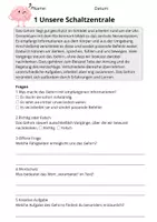 Vorschau - Stundenentwürfe - Leseverständnis Das Gehirn – Klasse 3 | 10 Lesetexte mit Fragen & Lösungen - Seite 3