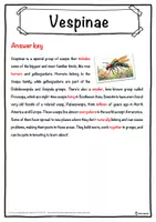 Vorschau - Arbeitsblätter - Vespinae – Worksheet: cloze text, listening comprehension and word search - English - Seite 2