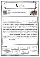 Vorschau - Arbeitsblätter - Viola – Worksheet: cloze text, listening comprehension and word search - English - Seite 1