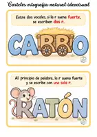 Vista previa - Refuerzo / NEE / Materiales de apoyo - CARTELES ORTOGRAFIA IDEOVISUAL - página 1