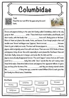 Vorschau - Arbeitsblätter - Columbidae – Worksheet: cloze text, listening comprehension and word search - English - Seite 1