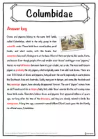 Vorschau - Arbeitsblätter - Columbidae – Worksheet: cloze text, listening comprehension and word search - English - Seite 2