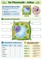 Vorschau - Arbeitsblätter - Biologie Klasse 7 Vertretungsstunde - Zelle, Fotosynthese und Ökosystem - Seite 1