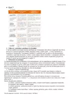 Aperçu - Préparation de séance / Séance complète - musique cycle 4 Cupsong "On est tous pareil" - Page 3