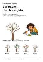 Vorschau - Arbeitsblätter - Ein Baum durch das Jahr: Klasse 1 - Seite 1