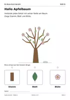 Vorschau - Arbeitsblätter - Ein Baum durch das Jahr: Klasse 1 - Seite 2
