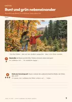 Vorschau - Arbeitsblätter - Laubfall Herbstfärbung Biologie Klasse 5 6 | Arbeitsheft 16 Seiten mit Lösungen | Chlorophyll, Trenngewebe, Tageslänge | Herbst im Wald 1 - Seite 3