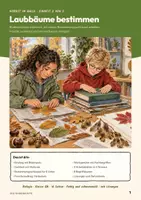 Vorschau - Arbeitsblätter - Laubbäume bestimmen Biologie Klasse 5 6 | Arbeitsheft 16 Seiten mit Lösungen | Bestimmungsschlüssel, Blattmerkmale, Herbarium | Herbst im Wald 2 - Seite 1