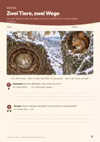 Vorschau - Arbeitsblätter - Überwinterung Winterschlaf Winterruhe Biologie Klasse 5 6 | Arbeitsheft 16 Seiten mit Lösungen | Igel, Eichhörnchen, Diagramme | Herbst im Wald 4 - Seite 3