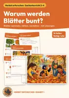 Vorschau - Arbeitsblätter - Herbst Blätter Sachunterricht Klasse 2 3 4 | Arbeitsheft 14 Seiten mit Lösungen | Laubfärbung, Blätter sammeln, Säulendiagramm | Herbst erforschen 1 - Deckblatt