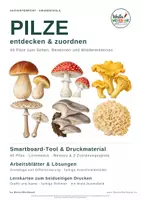 Vorschau - Arbeitsblätter - 🍄 Pilze entdecken | 🖥️ Smartboard-Tool · ✂️ Arbeitsblätter · 🃏 40 Lernkarten | 🎒 Klasse 1–4 - Deckblatt
