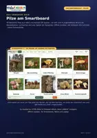 Vorschau - Arbeitsblätter - 🍄 Pilze entdecken | 🖥️ Smartboard-Tool · ✂️ Arbeitsblätter · 🃏 40 Lernkarten | 🎒 Klasse 1–4 - Seite 1