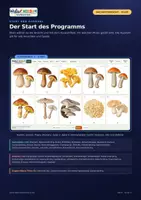 Vorschau - Arbeitsblätter - 🍄 Pilze entdecken | 🖥️ Smartboard-Tool · ✂️ Arbeitsblätter · 🃏 40 Lernkarten | 🎒 Klasse 1–4 - Seite 2