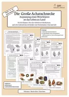 Vorschau - Arbeitsblätter - Die Achatschnecke - Anpassung eines Weichtieres an das Leben an Land | Klasse 5/6 | Modul 2 - Deckblatt
