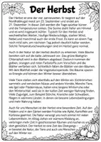 Vorschau - Arbeitsblätter - Sachtexte Übungen und Probe - Seite 3
