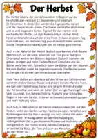 Vorschau - Arbeitsblätter - Sachtexte Übungen und Probe - Seite 2