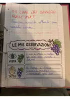 anteprima - Materiale di supporto/inclusione - La volpe e l'uva; dalla favola alla vendemmia. Sulle tracce dell'uva con i 5 sensi. - Pagina 3