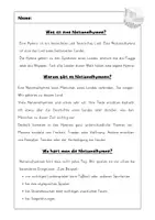 Vorschau - Stundenentwürfe - Nationalhymne Deutschland | Einführungsstunde mit Arbeitsblatt, Lesetext & Bildkarten - Seite 2